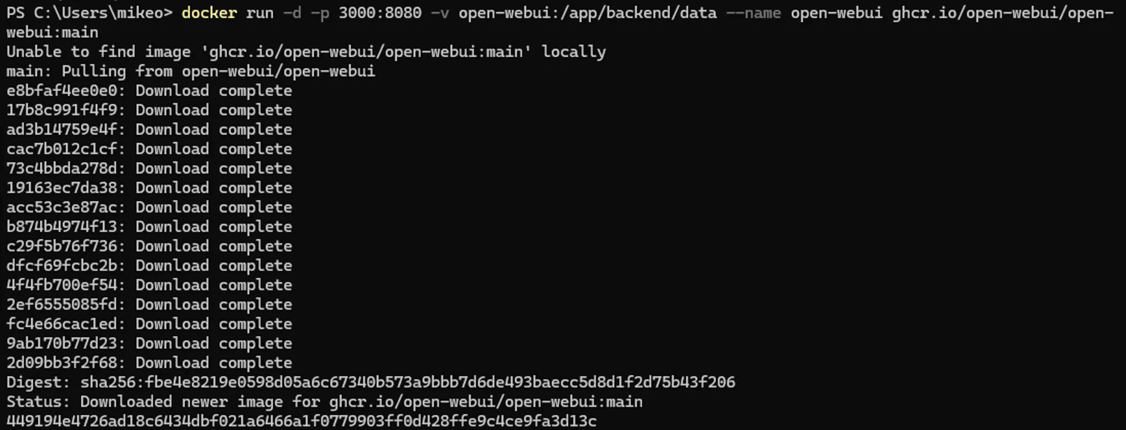 Docker commands in PowerShell