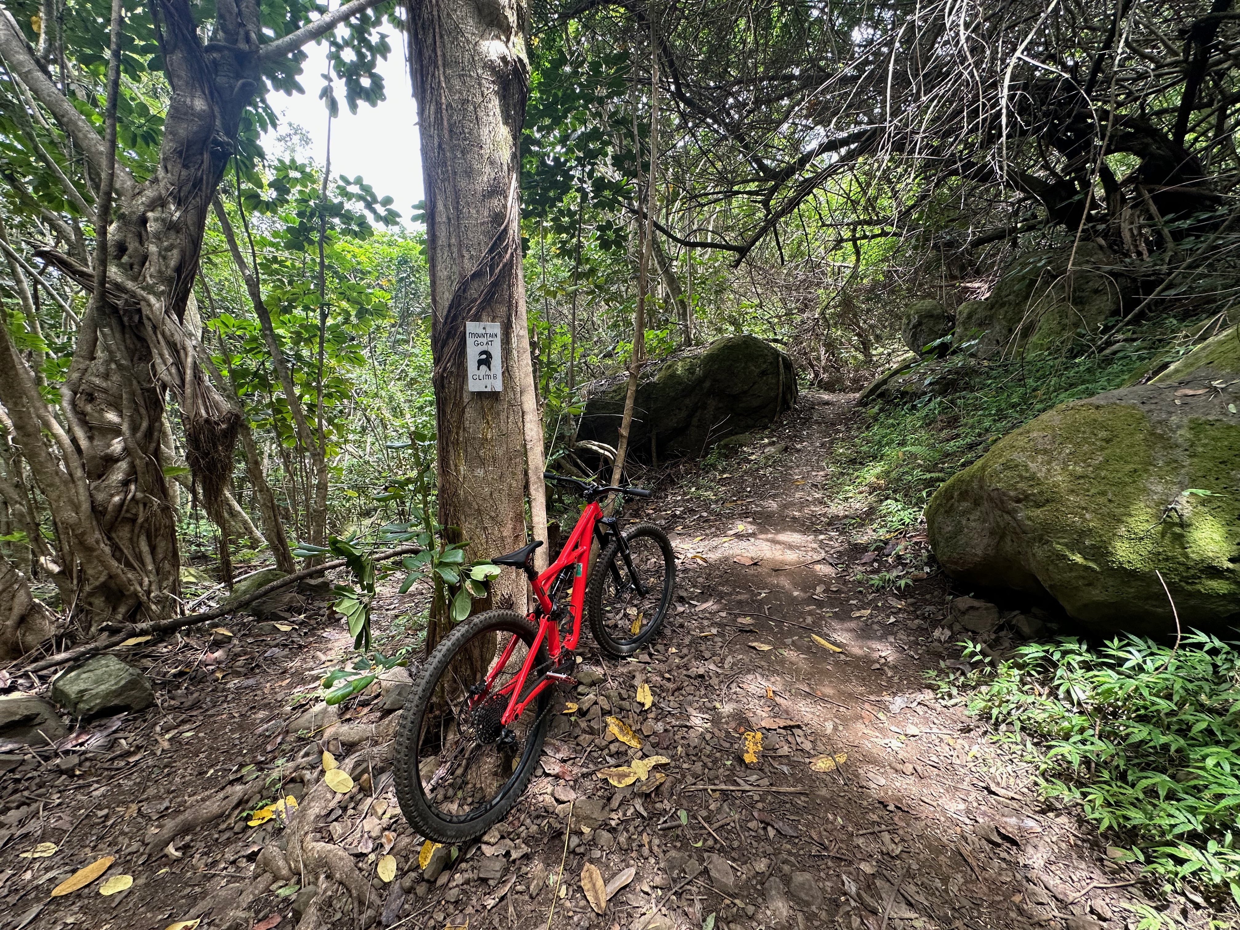 Mountain biking